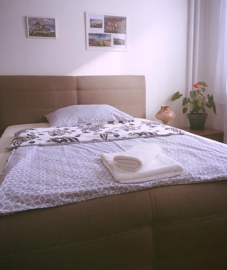 Apartment Anna Vysehrad 布拉格 外观 照片