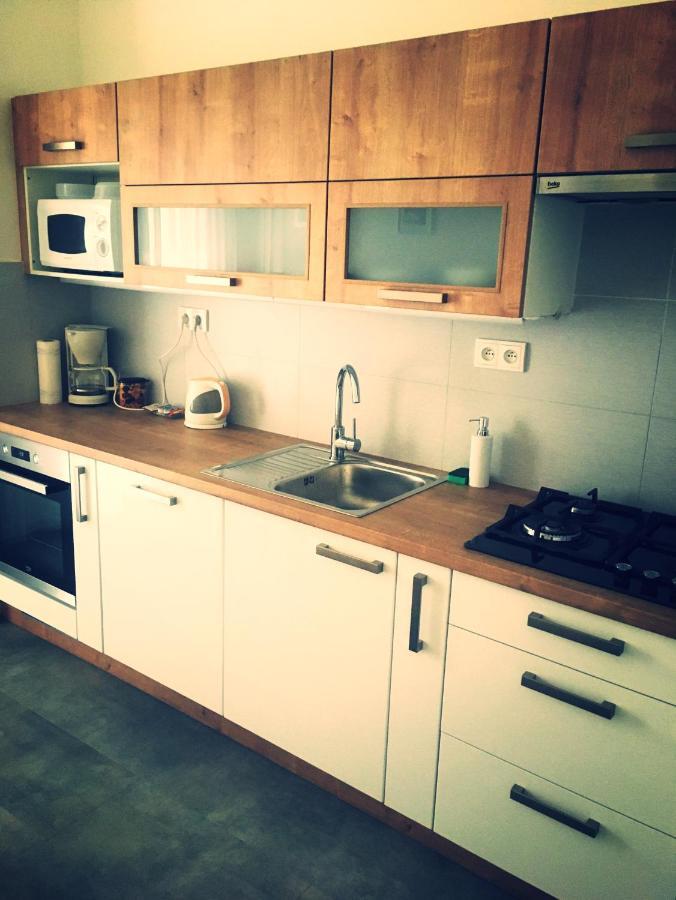 Apartment Anna Vysehrad 布拉格 外观 照片